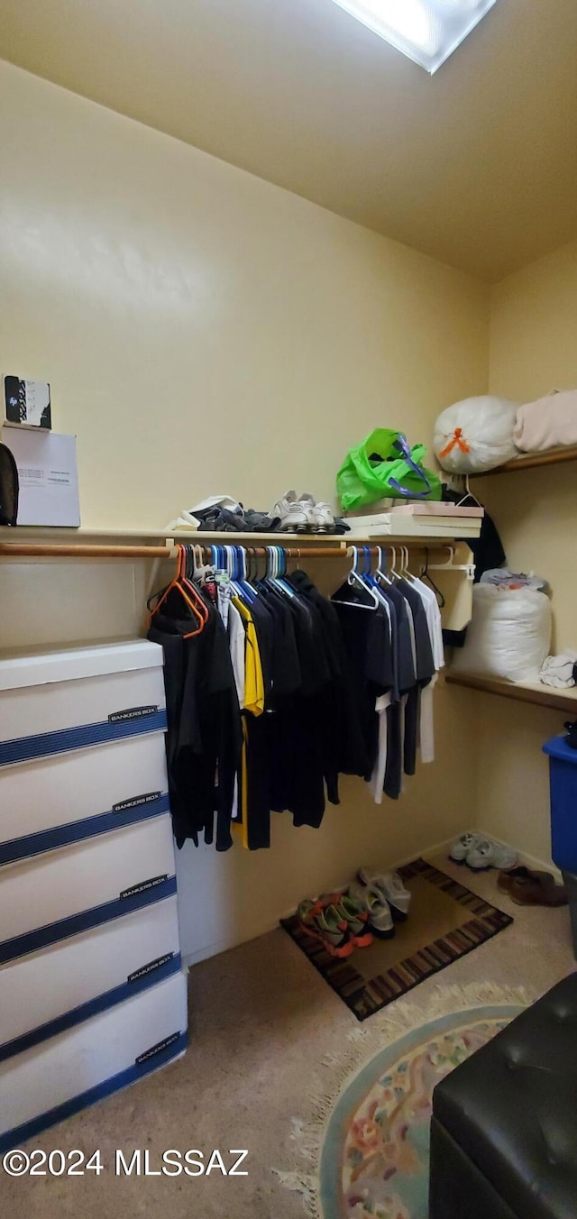 view of spacious closet