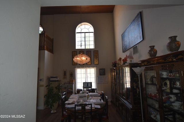 dining space featuring wood-type flooring and a healthy amount of sunlight