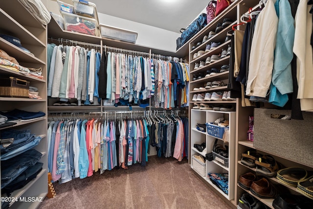 spacious closet with carpet flooring