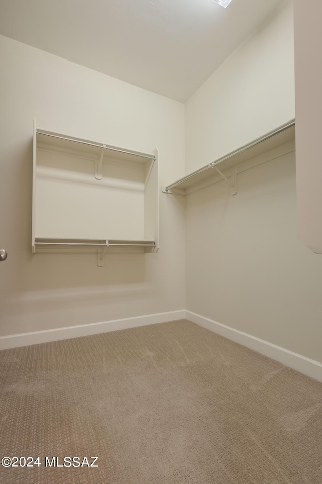 walk in closet with carpet