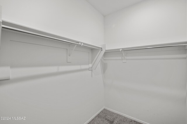 walk in closet with carpet