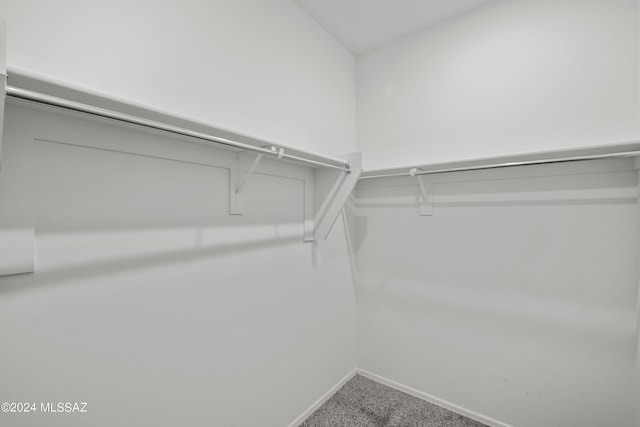 spacious closet featuring carpet floors