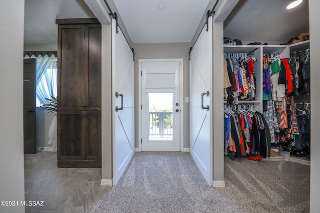 spacious closet with a barn door and light colored carpet