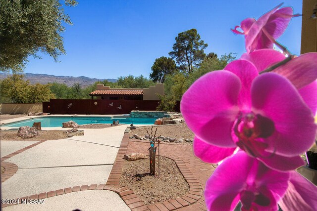 view of swimming pool featuring a mountain view and a patio area