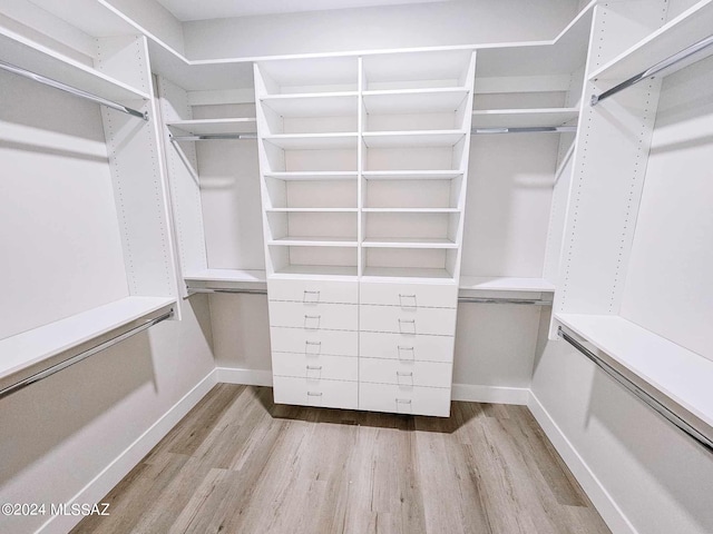 spacious closet with light wood-type flooring