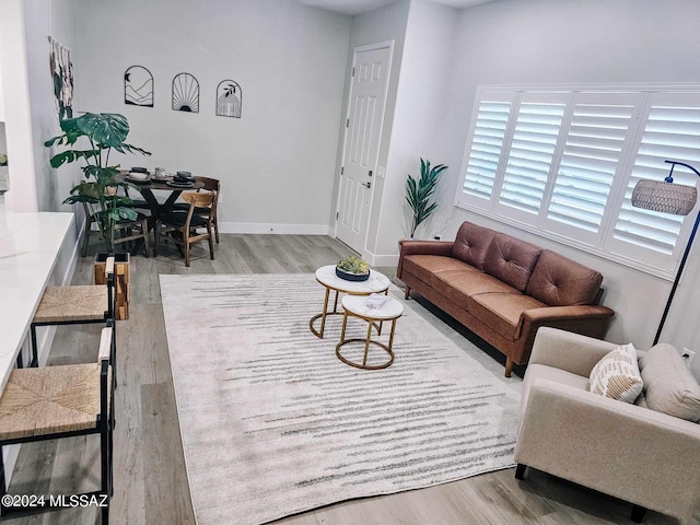 living room with light wood-type flooring