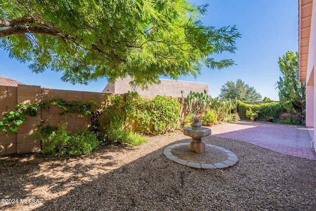 view of yard featuring a patio