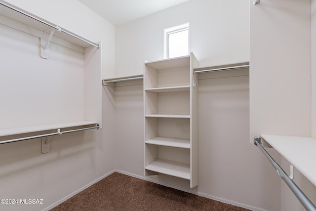 14031 E Troika St, Vail, AZ 85641 - walk in closet featuring dark carpet