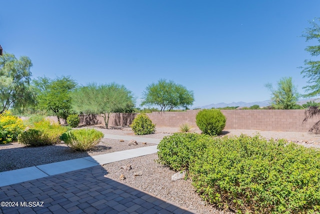 14031 E Troika St, Vail, AZ 85641 - view of fenced backyard