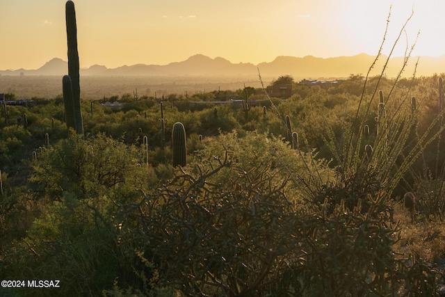 13621 E Deer Run Trl Unit 10, Tucson, AZ 85749