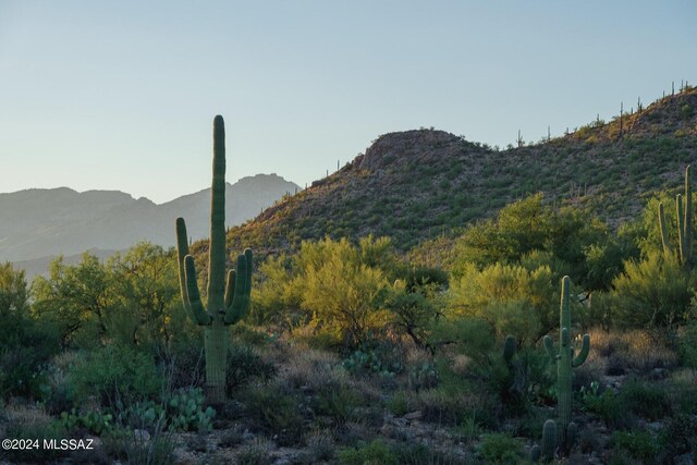 13621 E Deer Run Trl Unit 10, Tucson, AZ 85749