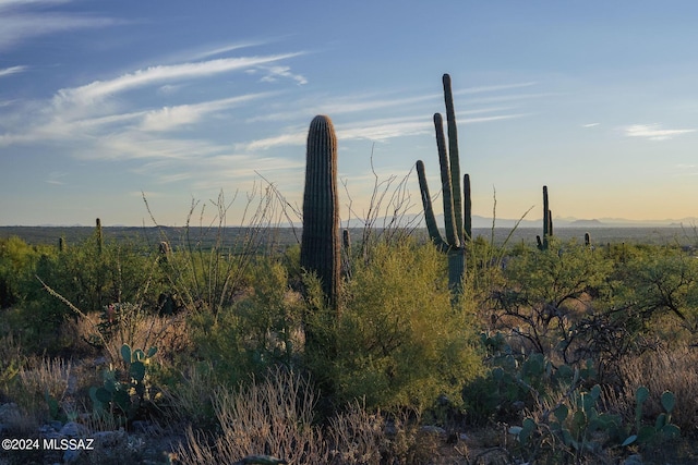 13621 E Deer Run Trl Unit 10, Tucson, AZ 85749