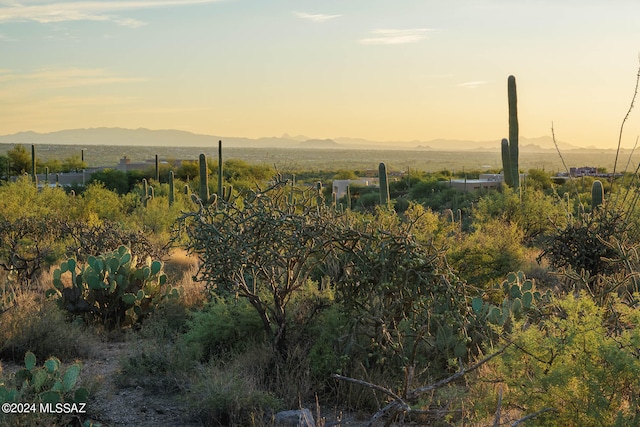 Listing photo 3 for 13621 E Deer Run Trl Unit 10, Tucson AZ 85749