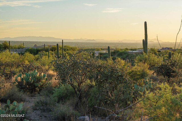 13621 E Deer Run Trl Unit 10, Tucson, AZ 85749