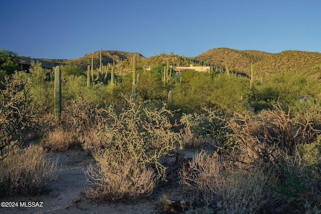 13621 E Deer Run Trl Unit 10, Tucson, AZ 85749
