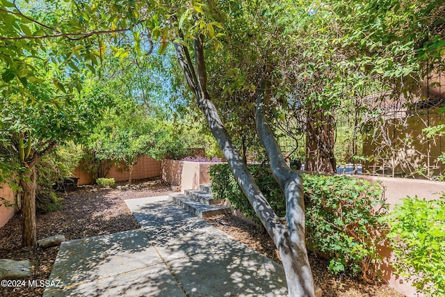 view of yard with a fenced backyard and a patio