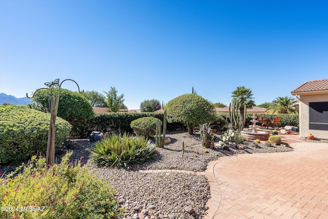 view of yard featuring a patio