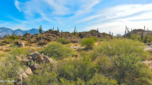 Listing photo 3 for 656 W Granite Gorge Dr Unit 337, Oro Valley AZ 85755