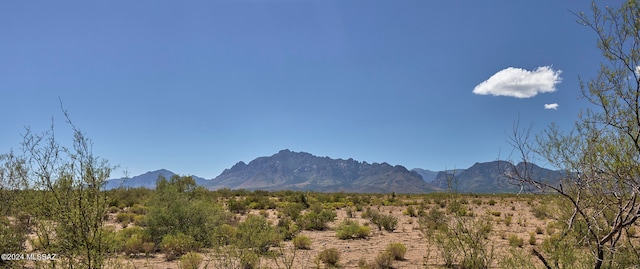 TBD W Portal Rd Unit 21, San Simon AZ, 85632 land for sale