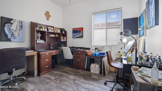 office featuring wood-type flooring