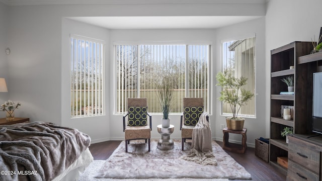 bedroom featuring multiple windows and dark wood-type flooring