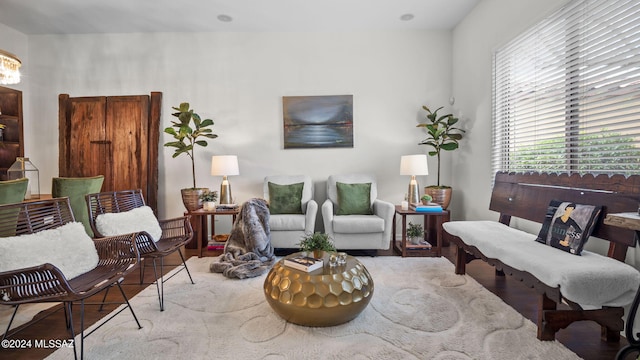 living room featuring hardwood / wood-style floors