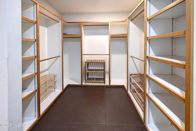 walk in closet with heating unit