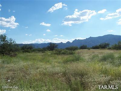 Allen St Unit 0, Pearce AZ, 85625 land for sale