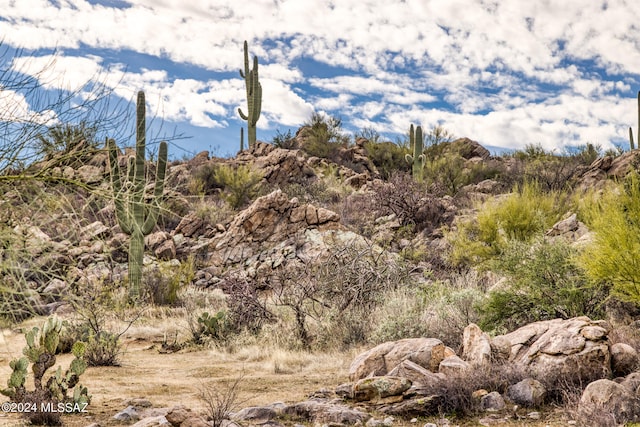 Listing photo 3 for 913 W Granite Gorge Dr Unit 323, Oro Valley AZ 85755