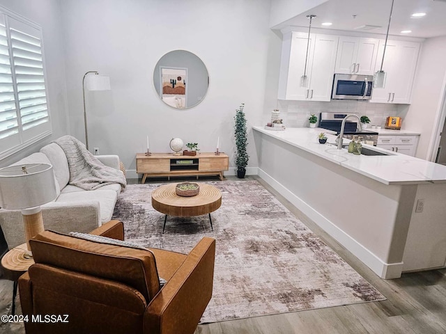 living room with light wood-type flooring and sink