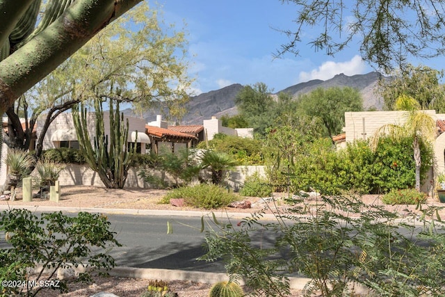 exterior space featuring a mountain view