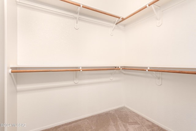 walk in closet with carpet