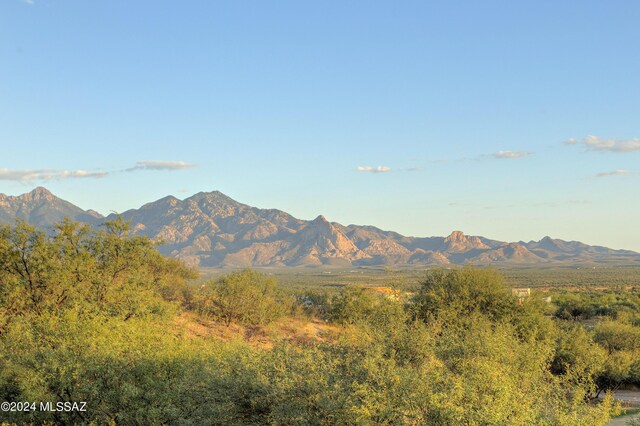 view of mountain feature