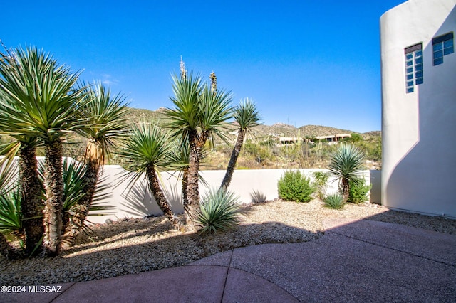 view of yard with a fenced backyard and a mountain view