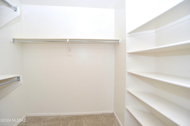 spacious closet featuring light colored carpet