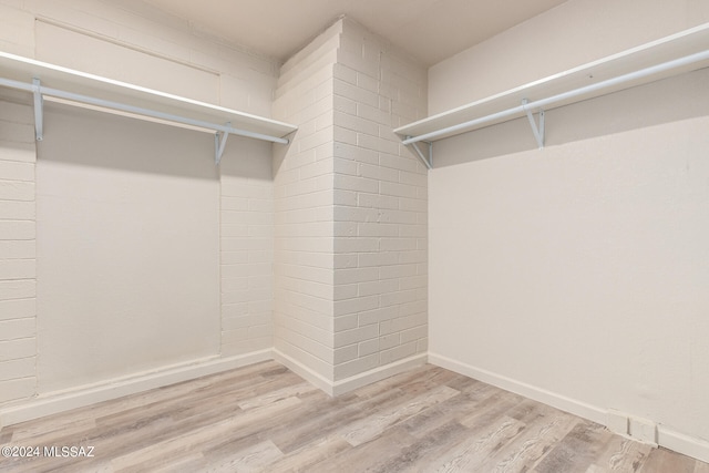 spacious closet with light wood-type flooring