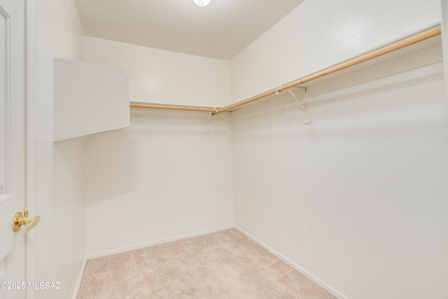 walk in closet with light carpet