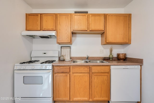 kitchen with white appliances and sink