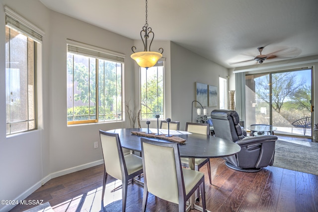 dining space featuring wood-type flooring and ceiling fan