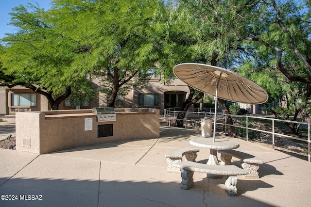 view of community featuring an outdoor kitchen and a patio