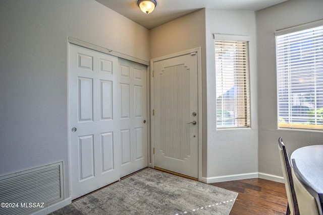 foyer entrance featuring dark wood-type flooring