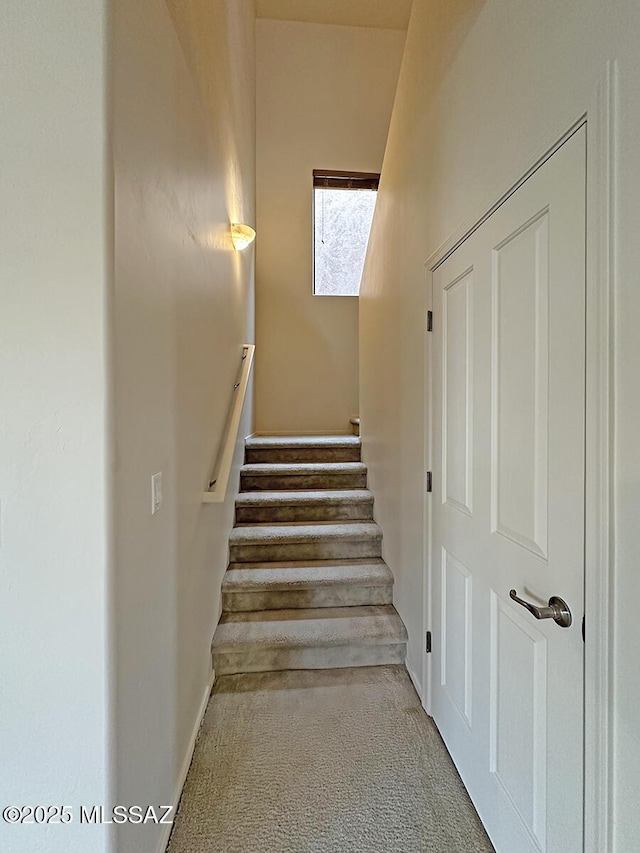 stairs with carpet flooring