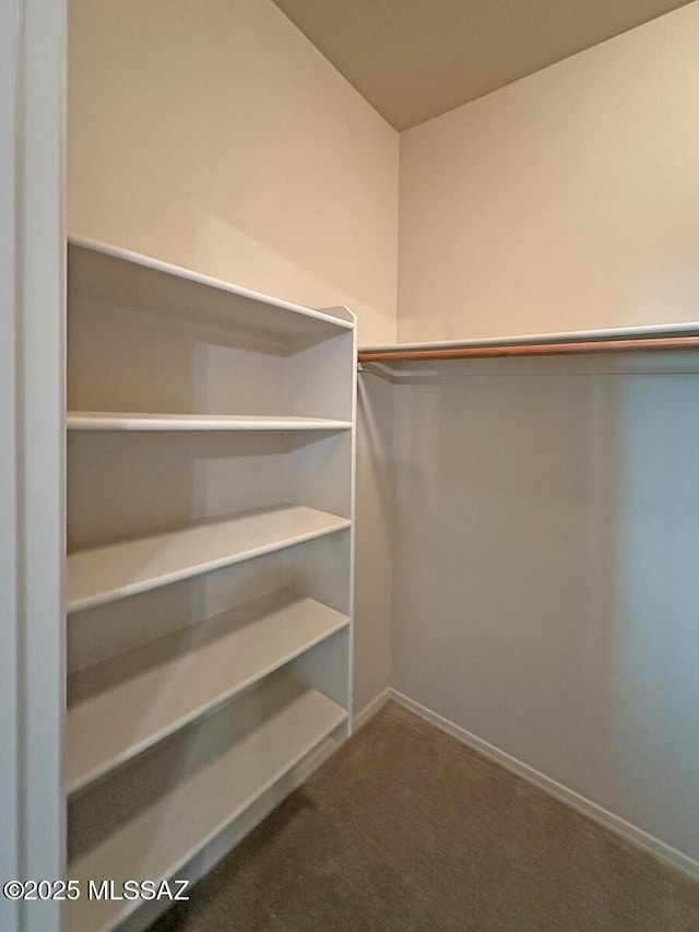 walk in closet with dark carpet