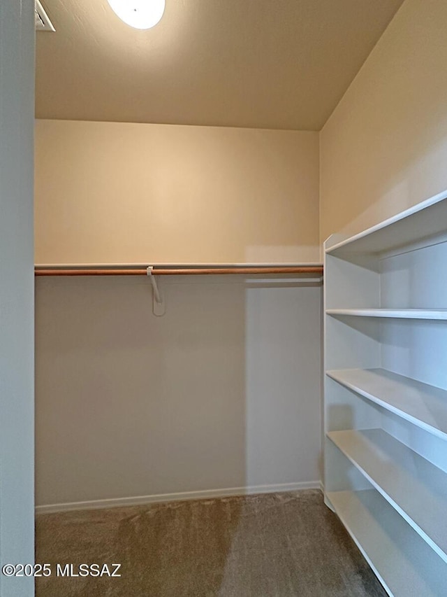 walk in closet featuring carpet flooring