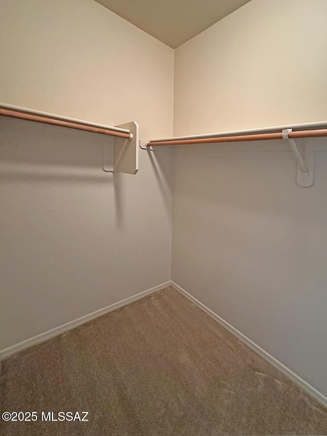 walk in closet with carpet