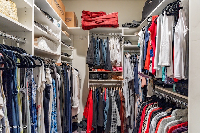 view of spacious closet