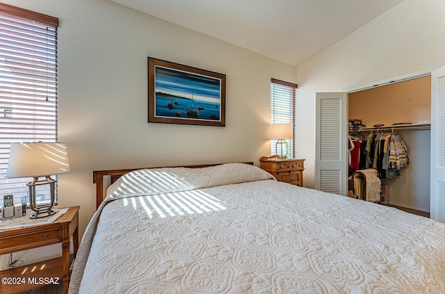 bedroom featuring a closet, vaulted ceiling, and a spacious closet