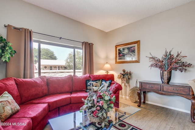 living room with hardwood / wood-style floors