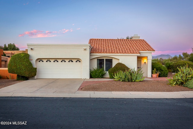 view of front of home with a garage