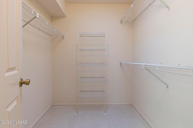 spacious closet with light colored carpet